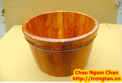 Chậu Ngâm Chân + thuốc Bắc