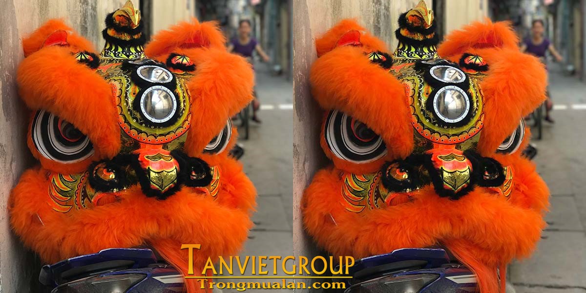 dau-mua-lan-mekong-mau-cam