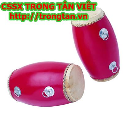 TRỐNG LÀ GÌ ?