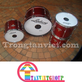 trong-doan-doi-lidwig