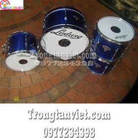 trong-doan-doi-lidwig